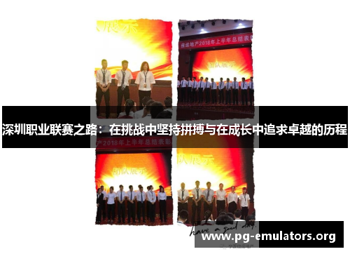 深圳职业联赛之路：在挑战中坚持拼搏与在成长中追求卓越的历程