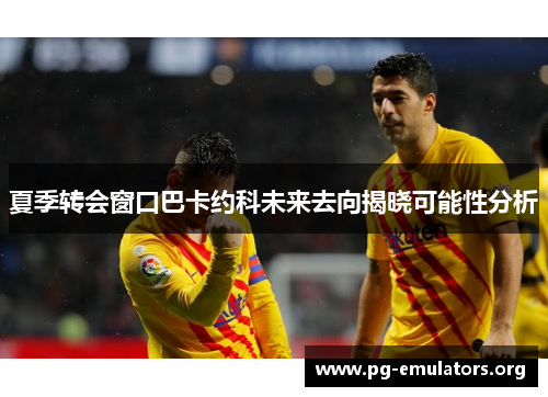 夏季转会窗口巴卡约科未来去向揭晓可能性分析