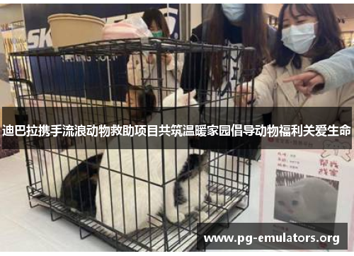 迪巴拉携手流浪动物救助项目共筑温暖家园倡导动物福利关爱生命 迪巴拉携手流浪动物救助项目共筑温暖家园倡导动物福利关爱生命