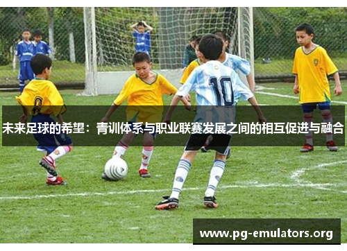 未来足球的希望：青训体系与职业联赛发展之间的相互促进与融合