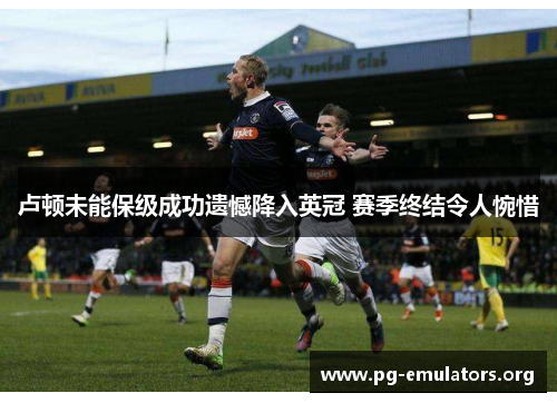 卢顿未能保级成功遗憾降入英冠 赛季终结令人惋惜 卢顿未能保级成功遗憾降入英冠 赛季终结令人惋惜