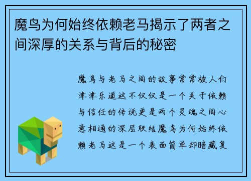 魔鸟为何始终依赖老马揭示了两者之间深厚的关系与背后的秘密